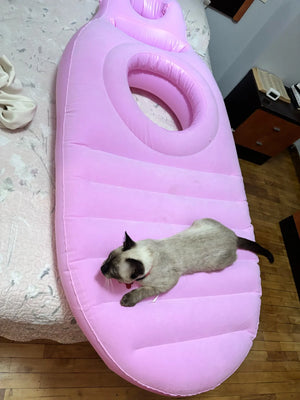 Ab0b8a95e65d1464a9ab360f0c31e7851h.jpg